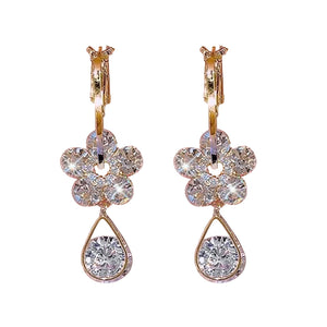 CC™ Crystal Magnetology Lymphvity Germanium Earrings