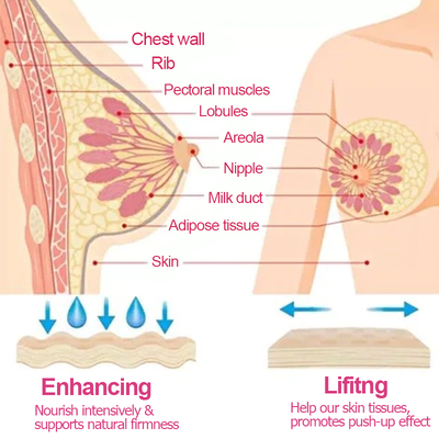 CC™ Chest & Backside ExtraCurves Cream