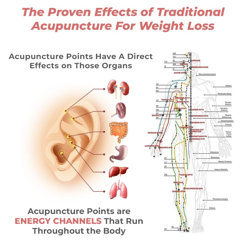 Lymph Flow Magnetogen Earrings