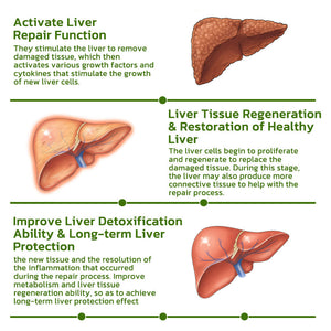 Vegan Liver Cleaning Nasal Herbal Box | Deep Cleansing