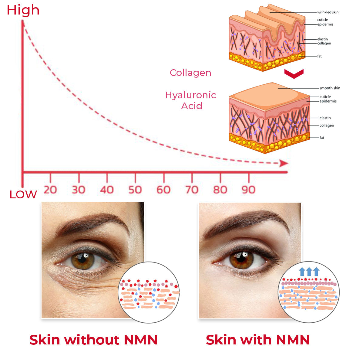 EvolvSkin™ Korean NMN Firming Mask