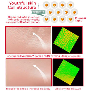 EvolvSkin™ Korean NMN Firming Mask